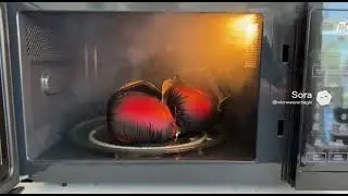 ​@jakepaul Microwaves his Boxing Gloves