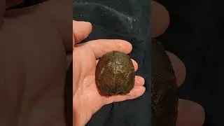 What's Inside This Baby Brazilian Agate