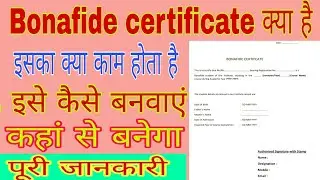 Bihar/NSP BONAFIDE CERTIFICATE कैसे बनाए, पूरी जानकारी जाने, bihar post matric scholarship 2019,2021