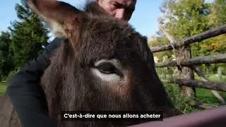 Haras du Pin - m&eacute;tiers