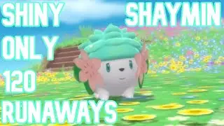 LIVE Shiny Shaymin in only 120 Runaway in Pokemon Shining Pearl!!!!!