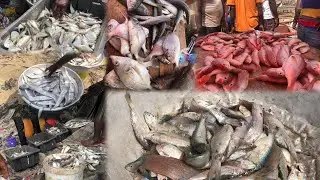 My Experience In Most Visited Street, Ghana's $60 Million Jamestown Fishing Harbor Village In Accra