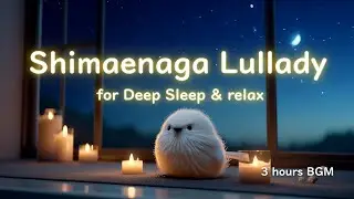 Shimaenaga Lullaby &ndash; A Soft Nighttime Escape