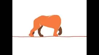 tiger walking loop