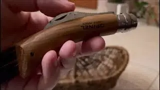 Pilzausrüstung - Tipps & Tricks