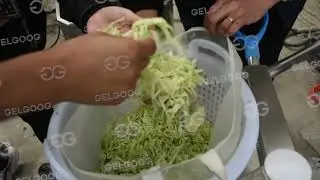 Vegetable Cleaning Production Line