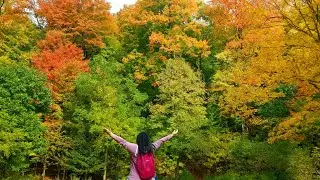 Exploring Lower Don River Trail