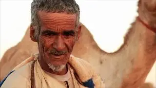 Desert Farms - Camel Milk