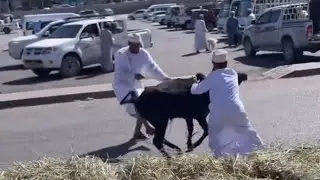 لقطات من سوق نزوى الجميل