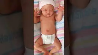 Reborn Doll Preemie Rosie by Laura Lee Eagles &hearts;️ #rebornbaby #reborndoll #doll
