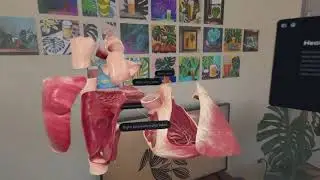 Augmented Reality for educational use