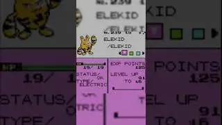 back to back shinies in Pok&eacute;mon crystal #pokemon
