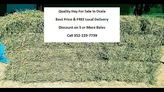Best Price Hay For Sale In Ocala | Free Local Delivery 352-229-7739