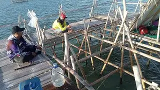 PESTA STRIKE Beginilah Enaknya Mancing Dibagan Dipagi Hari Banyak Sambarannya 