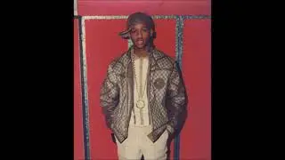 ALPO KING OF HARLEM EVADES THE BACKDOOR SET UP!! WASHINGTON DC GOONS TRIES TO KIDNAP AND KILL HIM!!!