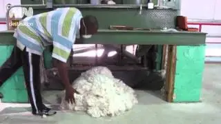 Exclusive Cottons of the Caribbean - Barbados