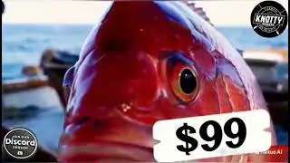 Fishing Clash Issues (Part.2)