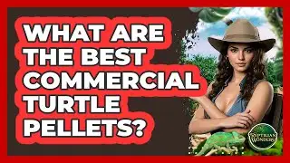 What Are The Best Commercial Turtle Pellets? - Reptilian Wonders