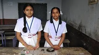 Magnetic force   physics experiment