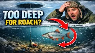 You're Fishing at the WRONG Depth for Winter Roach. Here's Why.