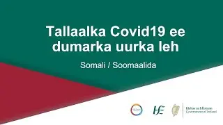 My Health, My Language - Covid 19 Vaccine for Pregnant Women Somali