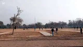 Sultan 11 Batting date: 11/01/2026