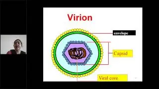 Virology And General Properties Of Viruses By Dr RakheeSagar,Department of microbiology