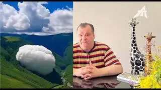 Немеханический мир