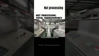 The Secrets of Nut Processing #macadamianuts #nutprocessing #nuts