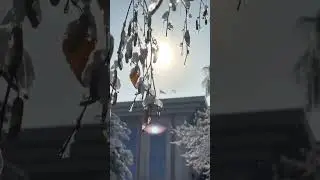 Расслабляющий просмотр #YouTube #вирусное_короткое_видео #❤️❤️