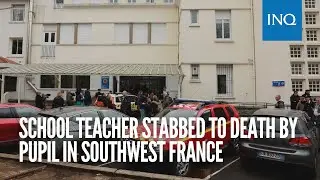 School teacher stabbed to death by pupil in southwest France