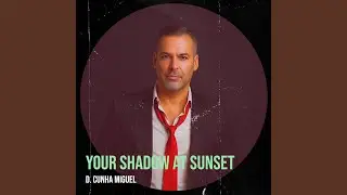 Your Shadow at Sunset