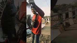 cek hasil mancing di jembatan muaradua #mancing #jembatanmuaradua