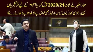 This is true 'Awami' budget, Hammad Azhar | COMPLETE budget 2020-21 speech
