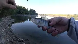 Making Light Carolina Rig for Perch / Каролина риг за костур