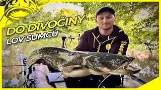 Jeden muž &ndash; jedna řeka | Lov sumců v divočině | Rybařen&iacute; na řece za sumci