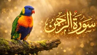 Surah Rahman سورة الرحمن | Soothing Quran Recitation for Inner Peace |Quran Recitation 