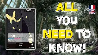 [OP13] IMU’s Stats Revealed! Full Breakdown of the New OP13 Leader