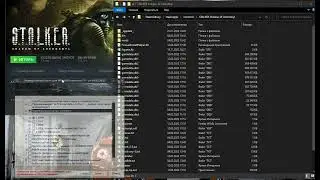 Откатываем Steam клиент ТЧ до версии 1.0004
