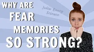Why Are Fear Memories So Strong? Neuroscience Research is giving us an idea