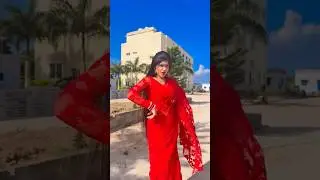 Udi Udi Bimanare Jiba | New Odia Trending song | #cookie #joydev #humansagar #newalbumsong #odiasong