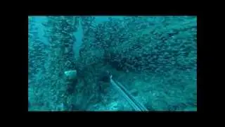 Diving an Unknown Wreck in the Gulf of Mexico