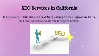 Professional SEO Services Company California