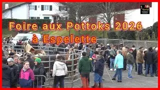 Foire aux Pottoks 2026 &agrave; Espelette