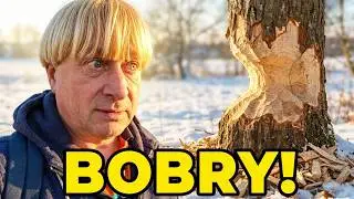 Live 29.12.2025 - Gracjan Roztocki