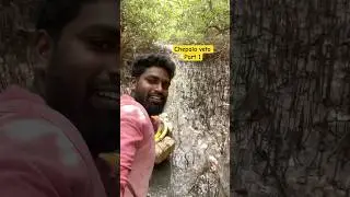 Chepala veta🐬part-1 #kakinadaabbaisurya#fishing#fish#fishlife#kakinada#youtube#youtubeshorts#reels