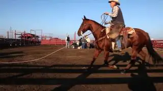 Cattle rustling impacts ranchers