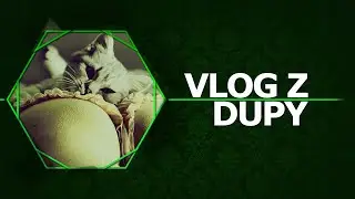 Vlog z Dupy - Jestem wUjem!