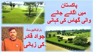Turf Types in Pakistan | Korean Grass | American Grass | Fine Dhaka Grass