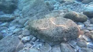 Tsamadou Beach Underwater - 2 (Samos)
